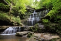 Photography of Bob Timmerman